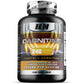 Carnitine (Acetyl-L-Carnitine) - 240 Capsules