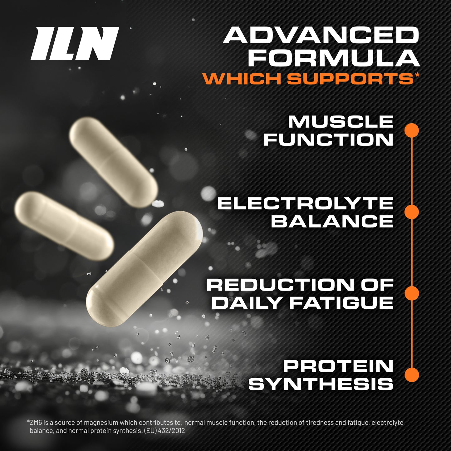 ZM6 - High-Strength Zinc & Magnesium – 360 Vegan Capsules