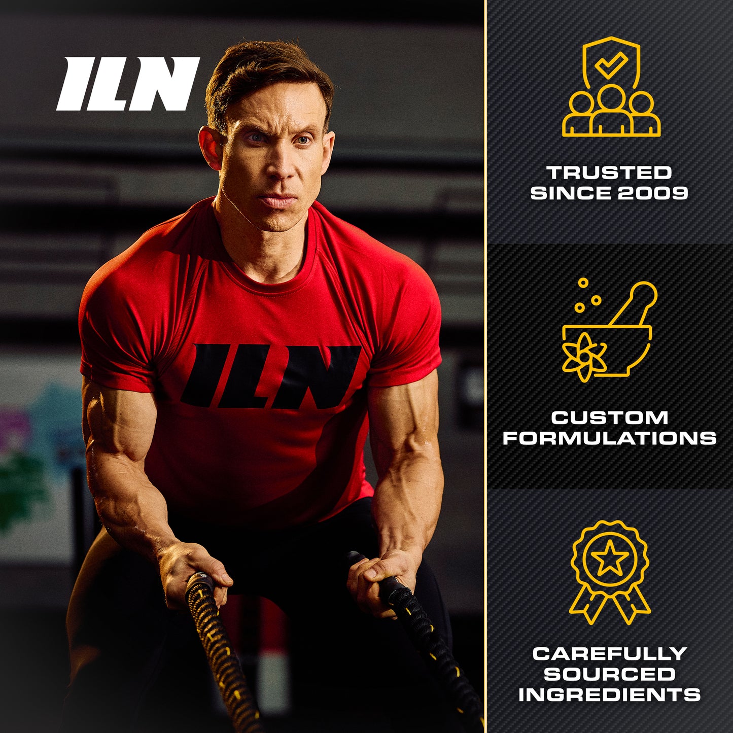 Carnitine (Acetyl-L-Carnitine) - 240 Capsules